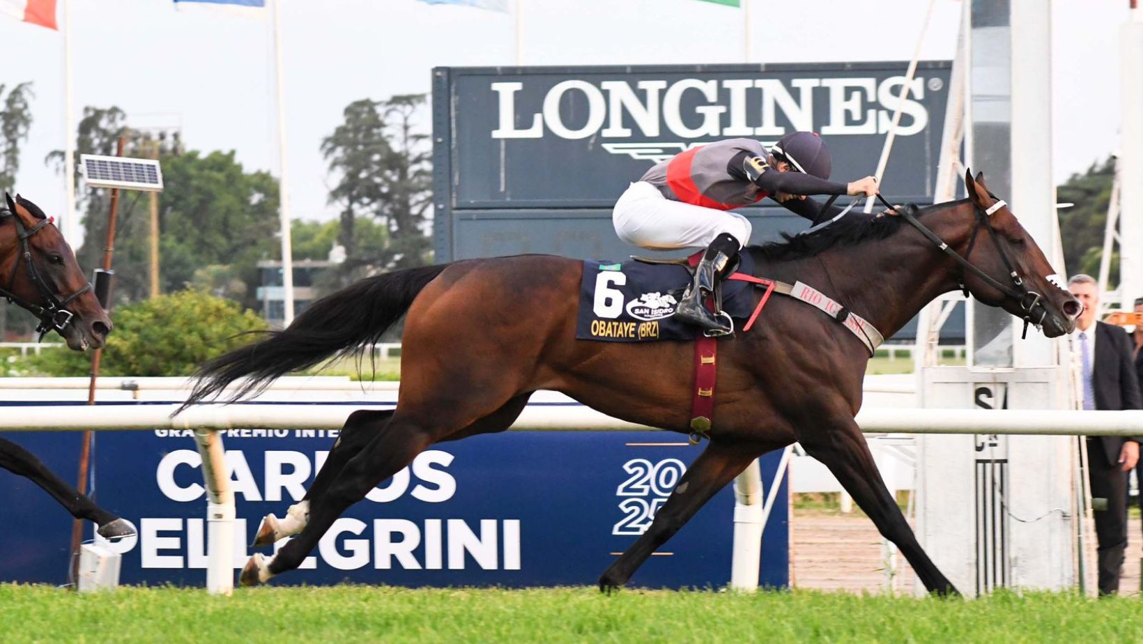 Paixão, dedicação e nutrição transformam haras paranaense em potência do turfe