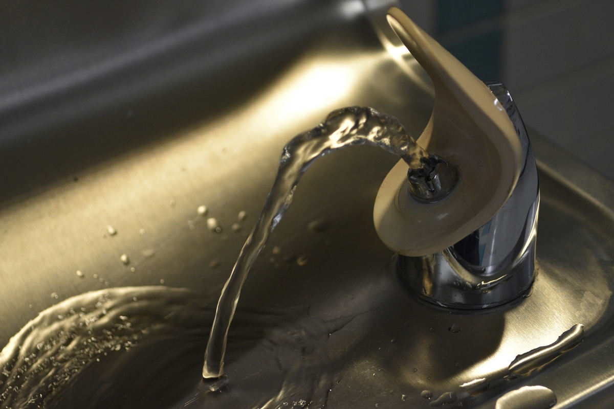 Bebedouros de água podem estar repletos de bactérias, alerta estudo