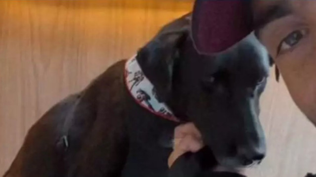 Pedro Scooby adota cachorro resgatado no Rio Grande do Sul