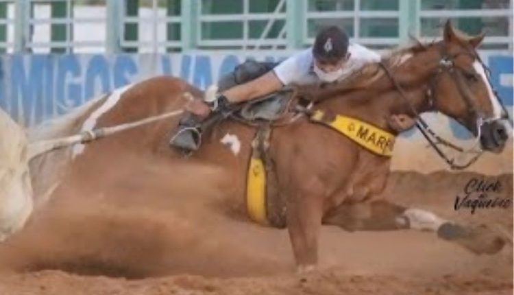 Conheça o cavalo Marreta, destaque incontestável da X1