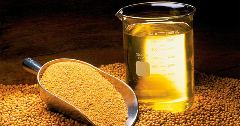 Demanda de biodiesel exige investimentos de R$ 52,5 bi na indústria de soja BR