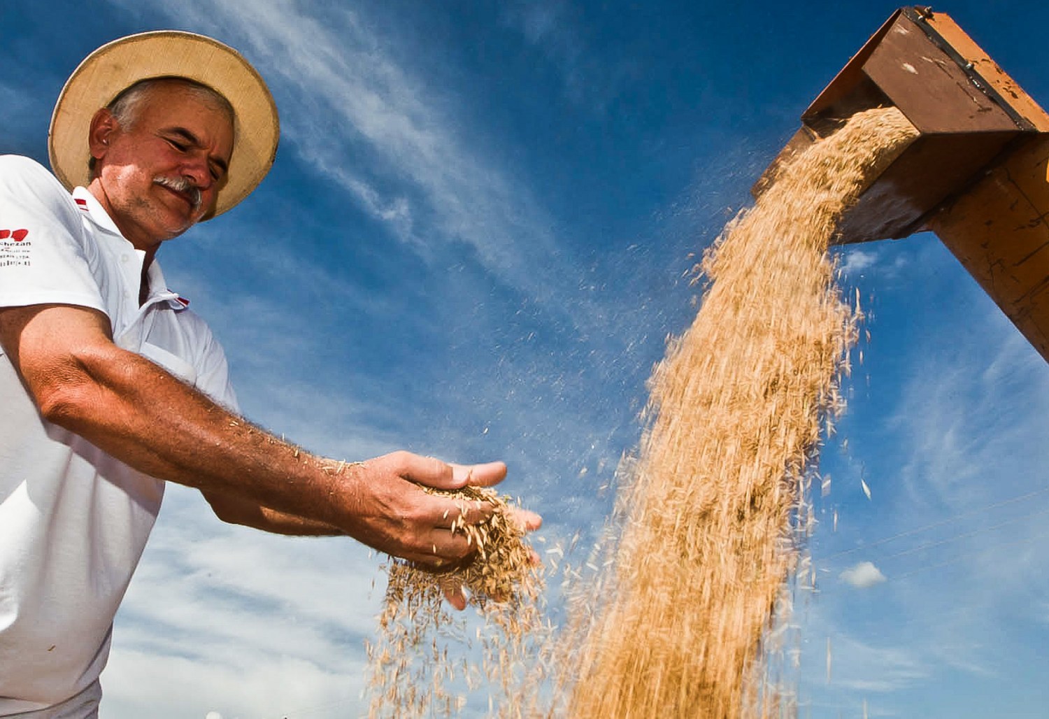 “Produção de arroz deve atender o mercado interno”, afirma IBGE