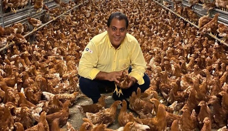 Gigante das aves faz o maior investimento na categoria de ovos no Brasil