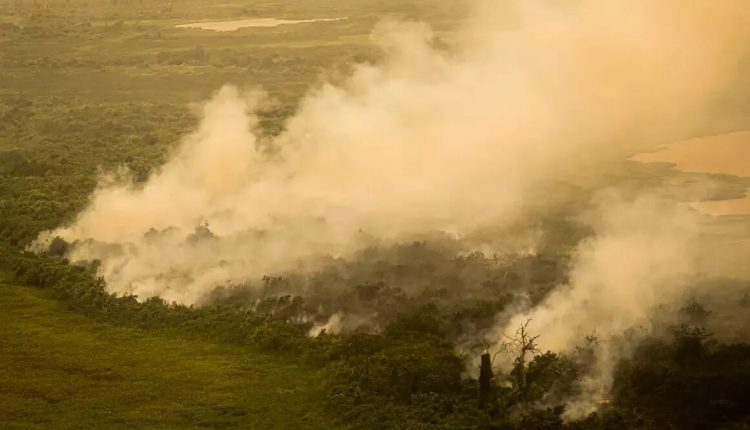 Incêndios: Mato Grosso do Sul decreta situação de emergência