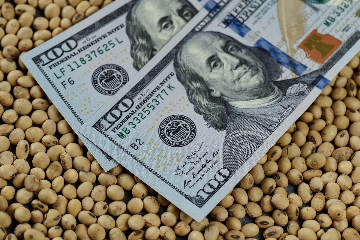 Dólar cotado a R$ 5,51 acende alerta no agro