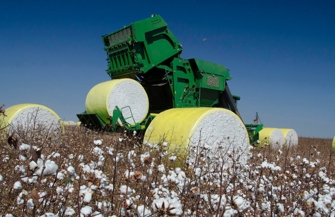 Brasil vira maior exportador de algodão do mundo e desbanca reinado dos EUA