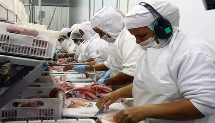 Indústria de alimentos é a que mais emprega no Brasil, diz IBGE