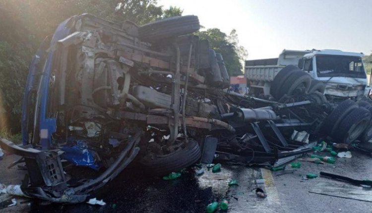 Caminhão desvia de bois na BR-232, tomba e causa colisão com feridos no Grande Recife: Veja o vídeo