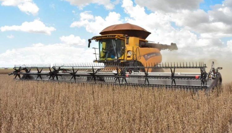 Conheça os 5 maiores países produtores de grãos do mundo