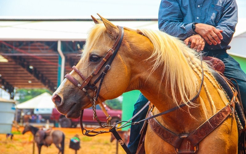 Provas da ABQM na ‘Capital do Cavalo’ terá premiação de R$ 3.911.352,00