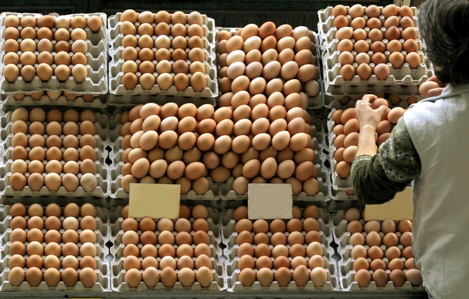 Fraca demanda dos ovos pressiona cotações no encerramento por mês