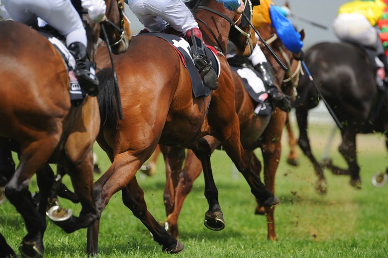 Câmara aprova projeto que proíbe corridas de cavalos; Entenda