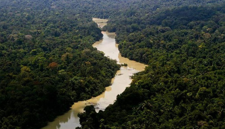 Amazônia tem alerta para seca severa neste ano