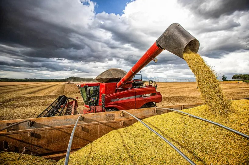 Segundo Imea, milho representa 21,70% do VBP da agricultura de MT