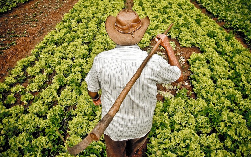 Plano Safra da Agricultura Familiar tem recorde de R$ 76 bilhões no crédito rural