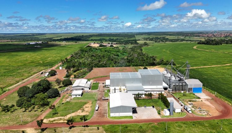 Pará, Tocantins e Maranhão serão atendidos por nova fábrica de produção de suplemento animal