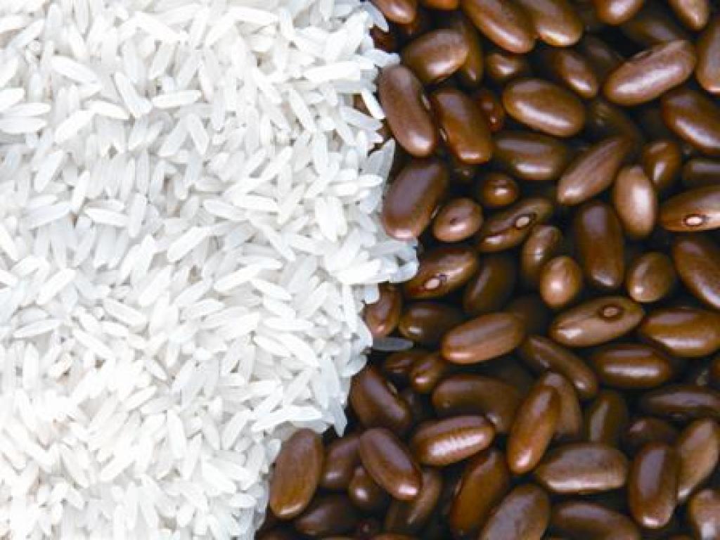 Arroz da Gente: Governo lança ação para fomentar produção de arroz da agricultura familiar