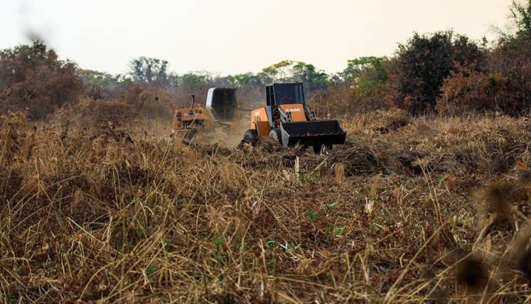 Publicada regras para construção de aceiros de até 50 m no Pantanal mato-grossense
