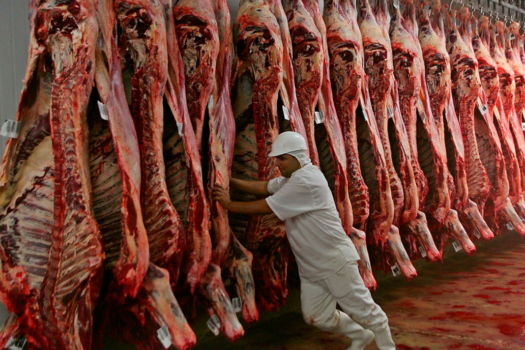 Exportações de carne bovina superam 220 mil toneladas em junho
