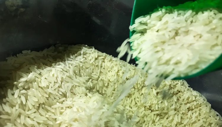 Demanda internacional de arroz sustenta preços no Brasil