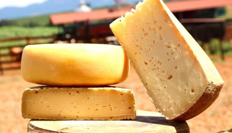 Brasil tem três queijos entre os 100 melhores do mundo, veja quais