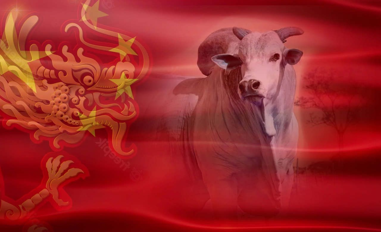 China paga o dobro pela carne bovina dos EUA em relação à do Brasil