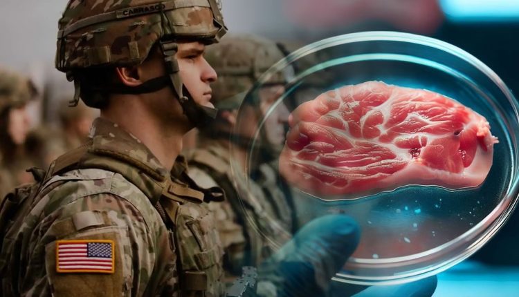 Estados Unidos desiste de alimentar seu exército com carne de laboratório