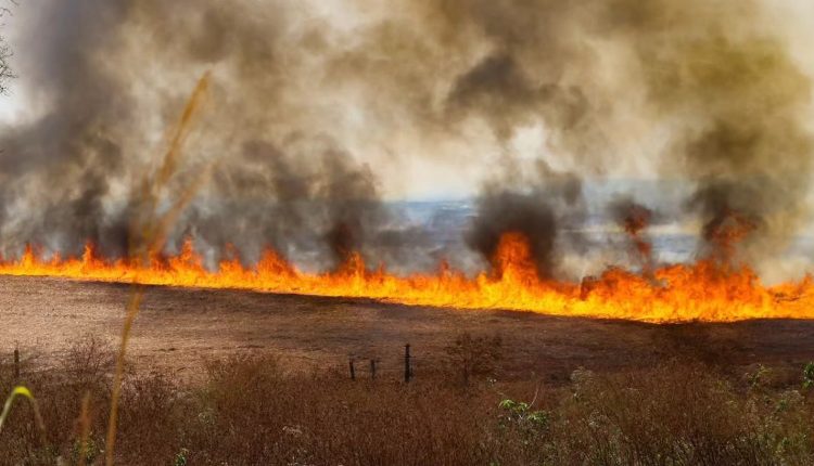 SP amplia combate aos focos de incêndios fazendo parceria com iniciativa privada