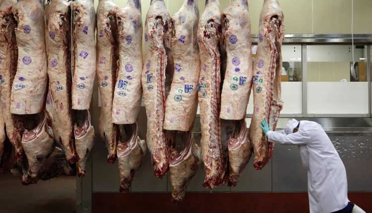 Exportações de carne bovina atingem 248 mil t e US$ 1,07 bilhão em recorde histórico