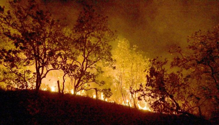 Produtores afetados por queimadas poderão recorrer à linha do Plano Safra