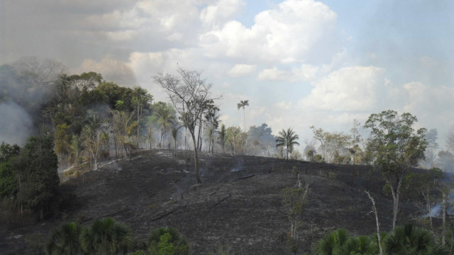 Delegado da PF diz que há indícios de ação coordenada em incêndios