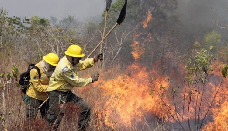 Brasil concentrou 72% das queimadas da América Latina, em 2 dias