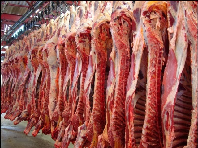 Exportação de carne bovina do Brasil supera 300 mil t pela 1ª vez em agosto, diz Abrafrigo