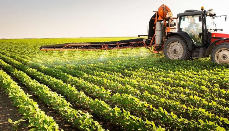 Biofungicidas multissítios ganham espaço devido a elevada eficácia e boa relação custo-benefício