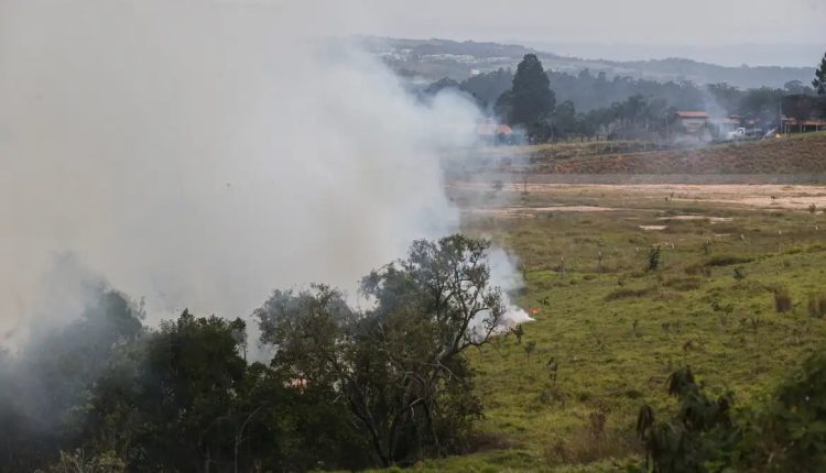 Faesp pede novas medidas ao governo para apoiar produtores rurais afetados por incêndios em SP