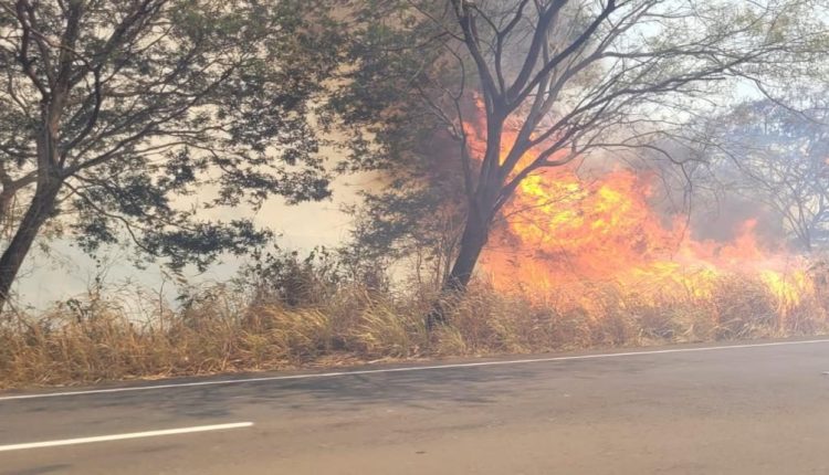 Dino estabelece orçamento de emergência para combate a incêndios