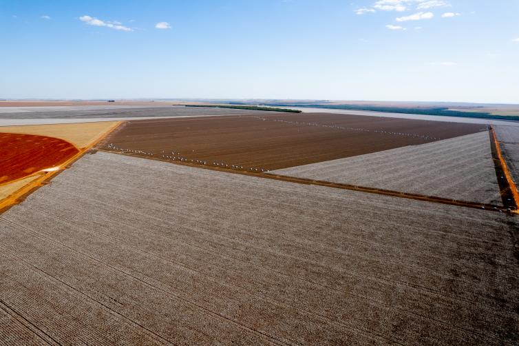 Após seis anos em alta, valor da produção agrícola cai 2,3% em 2023