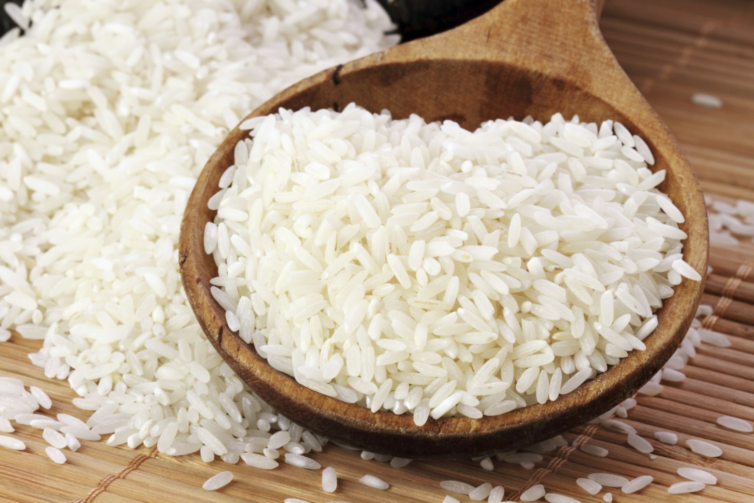 Arroz gourmet: saiba como o clima influencia na produção de arroz no litoral gaúcho