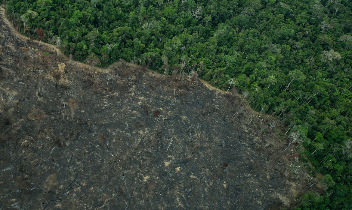 Terra Indígena Karipuna de Rondônia tem cenário de incêndio e seca