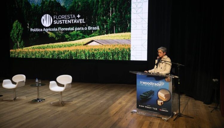 Ações do Mapa para fomentar a cadeia de florestas plantadas foram apresentadas na Semana Internacional da Madeira