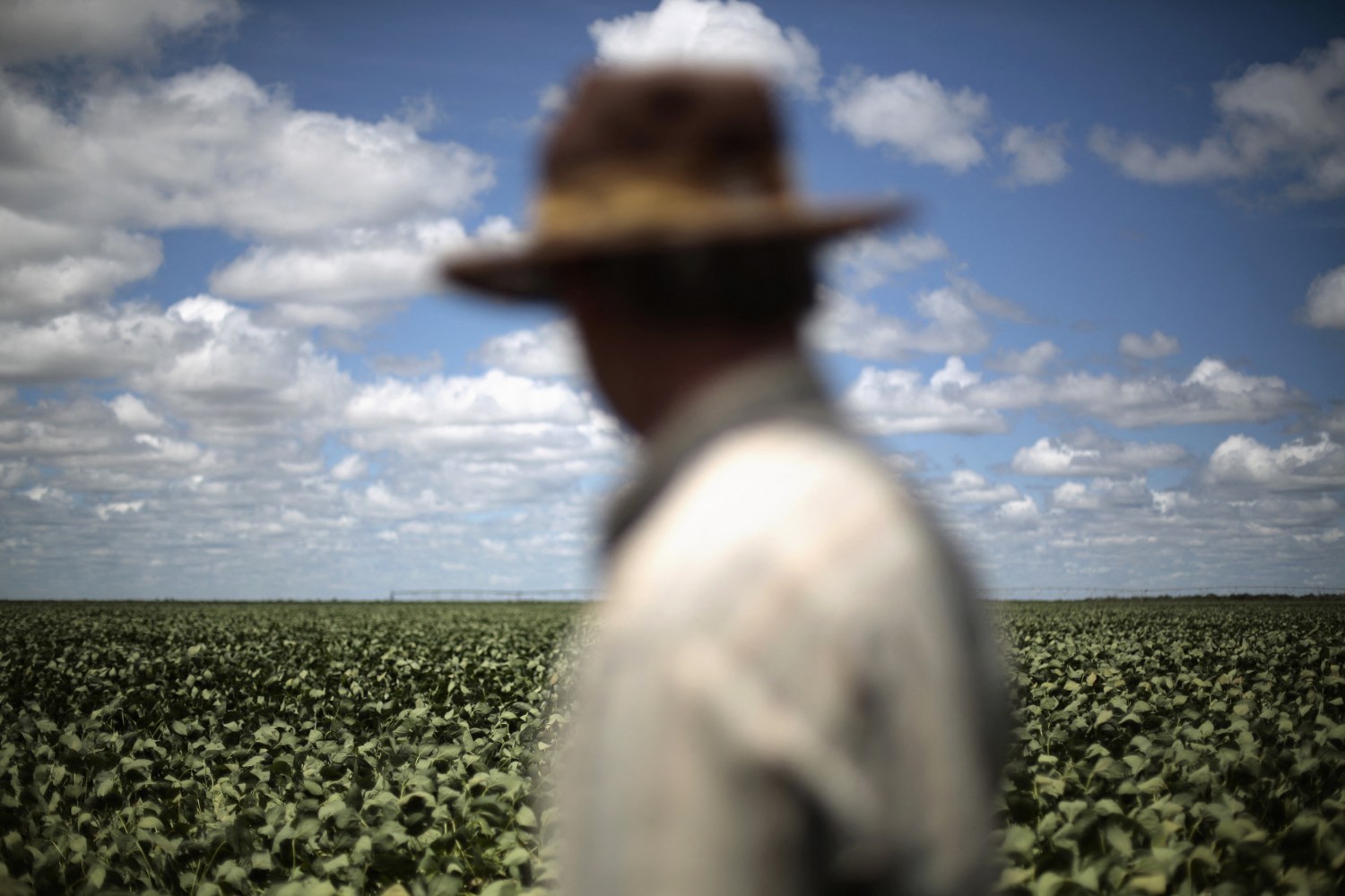 Projeto cria a Política Nacional de Proteção ao Produtor Rural