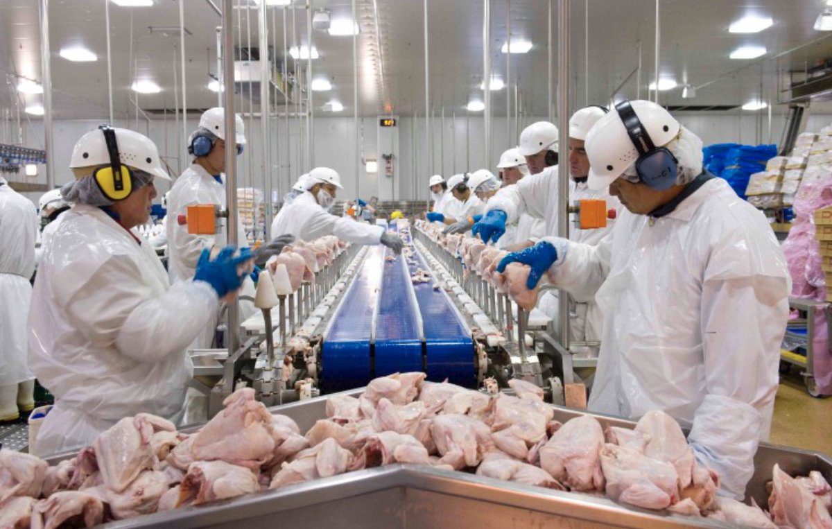 Governo prevê retorno das exportações de frango do RS para China em outubro