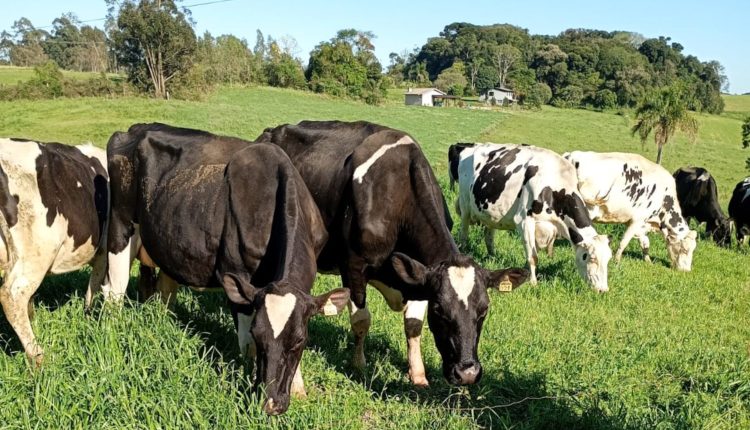 Cooperativas cobram nova unidade da Embrapa em Santa Catarina