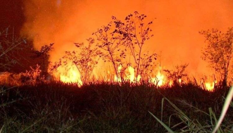 Temperaturas acima da média e baixa umidade no ar e solo mantêm alerta para queimadas