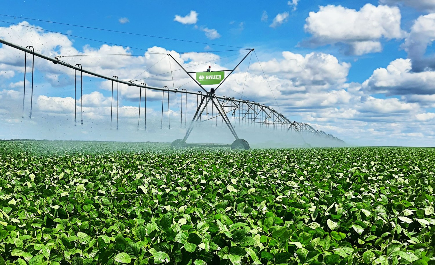 São Paulo discute incentivo à agricultura irrigada