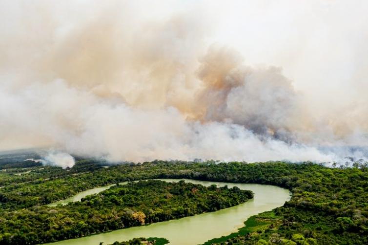 Estudo mostra que mais de 11 milhões de pessoas foram diretamente afetadas por incêndios