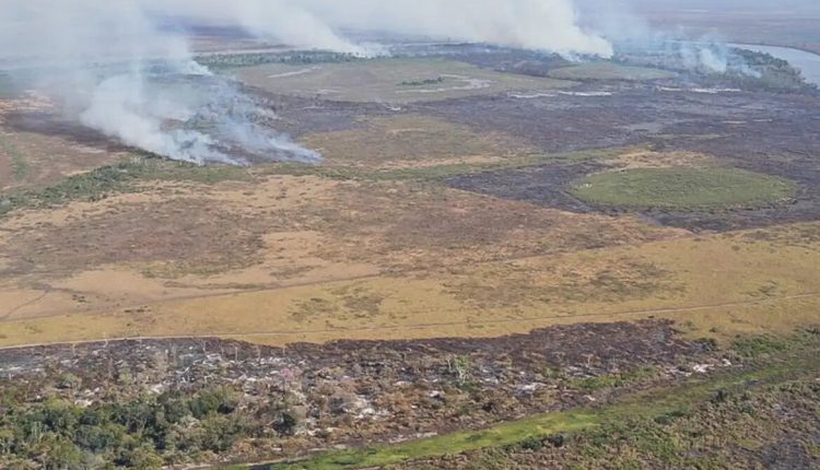 Suspeitos de incêndio criminoso no Pantanal que causou prejuízo de R$ 220 milhões são alvo de Operação da PF