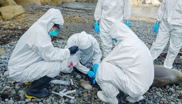 Sancionada lei que amplia medidas de enfrentamento de emergência fitossanitária e zoossanitária