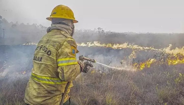 Ibama aplica multa de R$ 100 milhões a fazendeiros por incêndios no Pantanal