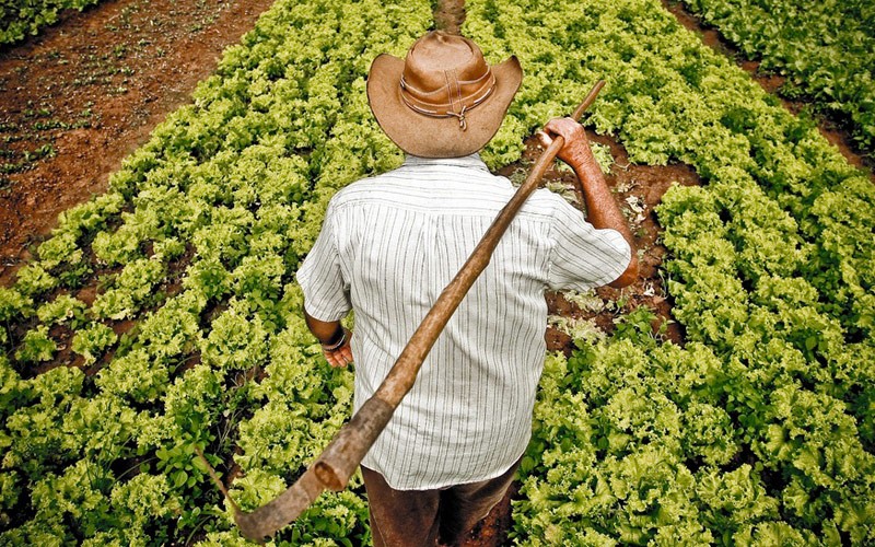 Governo lança programa para agroecologia